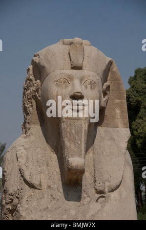 L'Égypte, Memphis (aka Menufer). Sphinx d'albâtre d'Aménophis II. Banque D'Images