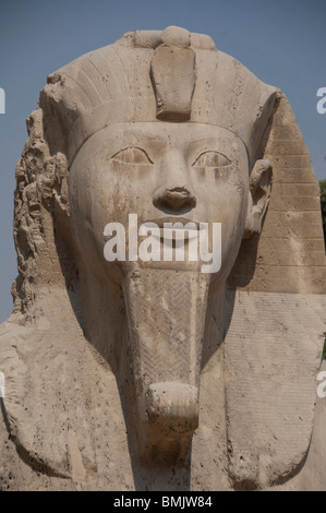 L'Égypte, Memphis (aka Menufer). Sphinx d'albâtre d'Aménophis II. Banque D'Images