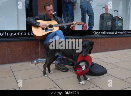 Un musicien ambulant joue sur Princes Street, tandis que son chien recueille de l'argent. Banque D'Images