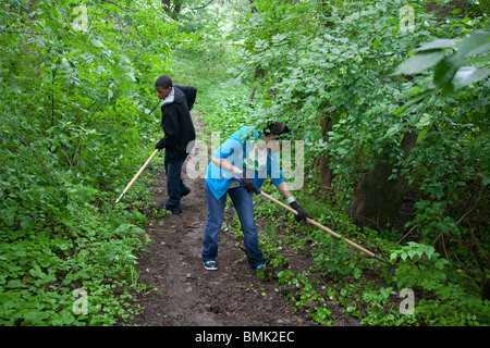 Detroit, Michigan - Les volontaires ont travaillé sur un sentier nature pour retirer l'alliaire envahissantes dans Eliza Howell Park. Banque D'Images