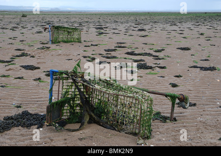 Chariots de supermarché rejetés sur le rivage de l'Estuaire de Forth à Musselburgh près d'Édimbourg. Banque D'Images