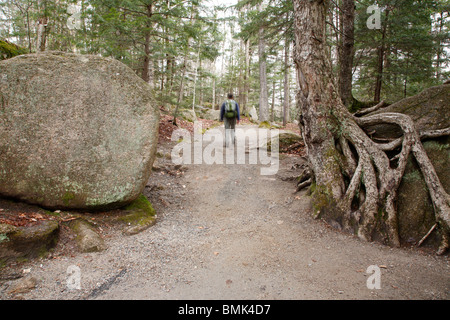 Franconia Notch State Park - Glacial rochers sur un sentier à la gorge en canal de Lincoln, New Hampshire, USA Banque D'Images