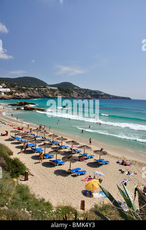 Vue sur la plage, Cala Tarida, Ibiza, Baléares, Espagne Banque D'Images