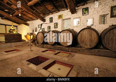 Cave Banque D'Images