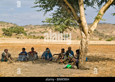 Un groupe de travailleurs éthiopiens s'asseoir à l'ombre d'un arbre le long de la route de Gondar, Éthiopie Banque D'Images