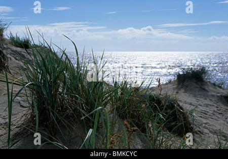L'Estonie,Parnu Parnu,bay,plage,coût de la Baltique Banque D'Images