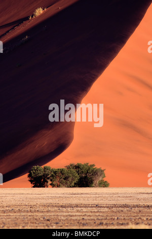 Dune massive à côté dune 45 à Sossusvlei en Namibie Banque D'Images