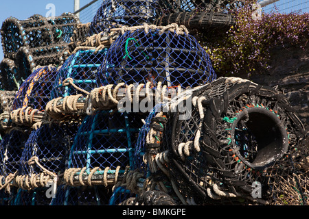 Royaume-uni, Angleterre, Devon Brixham, homard de l'industrie de la pêche sur le quai Banque D'Images