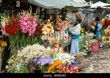 Madagascar, Antananarivo. Marché aux fleurs par le lac Anosy à Antananarivo. Banque D'Images