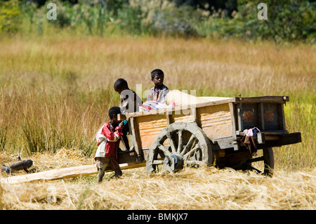 Madagascar, l'Isalo. Panier en Parc National d'Isalo Banque D'Images