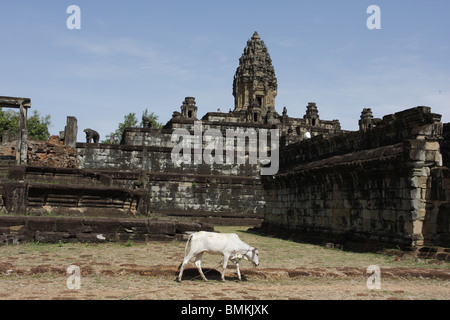 Le Bakong, un mont du temple dans le groupe Roluos près d'Angkor, Siem Reap, Cambodge Banque D'Images