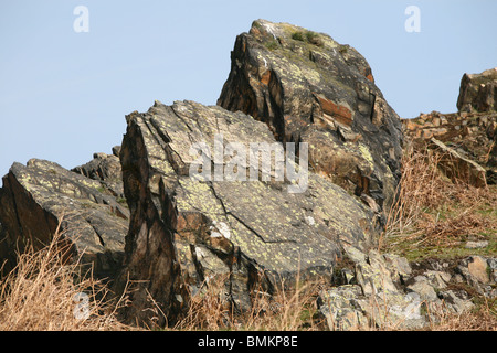 Les affleurements de roches à bradgate park leicestershire Banque D'Images