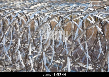 Rouleaux de barbelés à spirales en acier inoxydable garder prisonniers loin de grillage à l'établissement correctionnel en Floride Banque D'Images