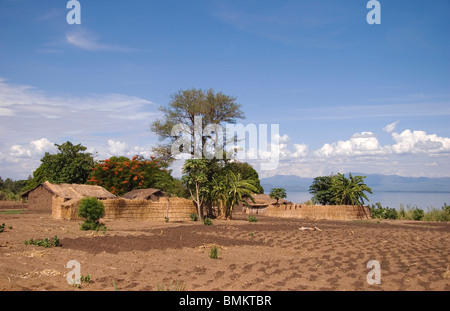 L'Afrique ; Malawi ; le lac Malombe, Petite ferme avec terrain labouré surplombant le lac Malombe Banque D'Images