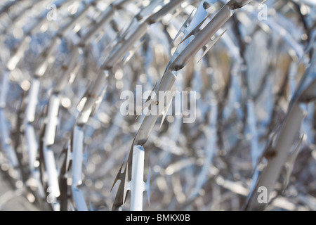 Rouleaux de barbelés à spirales en acier inoxydable garder prisonniers loin de grillage à l'établissement correctionnel en Floride Banque D'Images