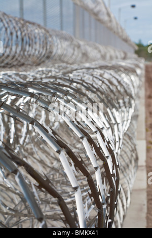 Rouleaux de barbelés à spirales en acier inoxydable garder prisonniers loin de grillage à l'établissement correctionnel en Floride Banque D'Images