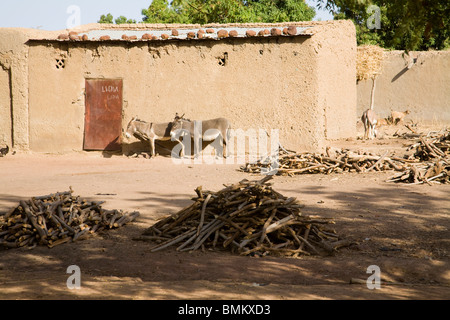 Mali, Bamako. Maisons de boue dans un village sur la route Bamako-Djenne Banque D'Images