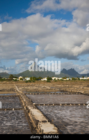 L'Ile Maurice, dans l'ouest de l'Ile Maurice, Tamarin, Montagne du Rempart mountain (el. 777 mètres) avec les étangs salés Banque D'Images