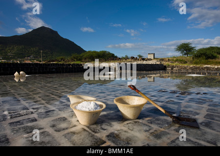 L'Ile Maurice, dans l'ouest de l'Ile Maurice, Tamarin, Salt Pond Banque D'Images