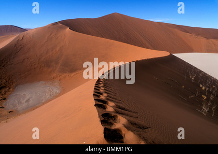 L'Afrique, la Namibie, le Parc National Namib Naukluft, empreintes sur le sable au-dessus dune casserole morts près de Sossusvlei dans le désert de Namib Banque D'Images