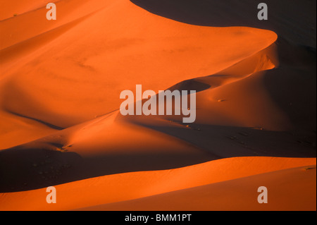 L'Afrique, la Namibie, le Parc National Namib Naukluft, Morning sun lights dunes de sable dans le désert de Namib près de Sossusvlei Banque D'Images