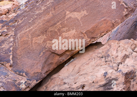 Petroglyph à Twyfelfontain, la Namibie. Banque D'Images