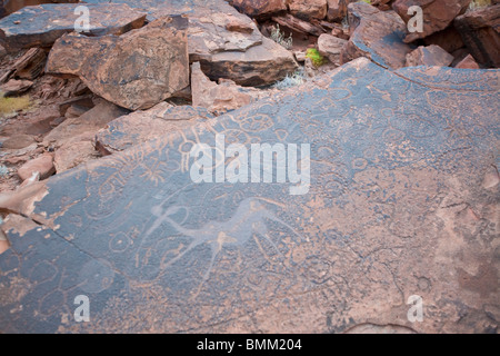 Petroglyph à Twyfelfontain, la Namibie. Banque D'Images