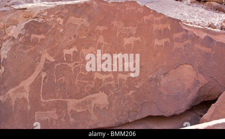 Petroglyph à Twyfelfontain, la Namibie. Banque D'Images