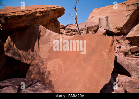 Petroglyph à Twyfelfontain, la Namibie. Banque D'Images