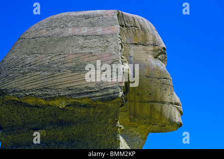 Portrait du grand Sphinx de Gizeh en Egypte Banque D'Images