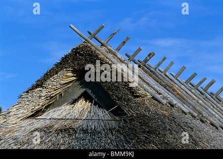 L'Estonie,Parc national de Lahemaa,Altja,Golfe de Finlande,village,maison,des maisons en bois Banque D'Images