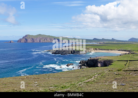 Cliffs à Sybil Point près de Ballyferriter, péninsule de Dingle, comté de Kerry, Irlande Banque D'Images