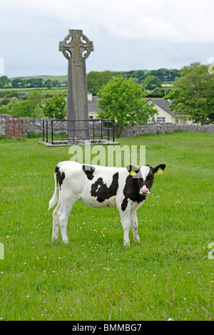 Croix de l'Ouest, Kilfenora, Burren, comté de Clare, Irlande Banque D'Images