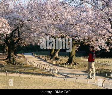 Koraku-en, est un jardin japonais Korakuen situé à Okayama, préfecture d'Okayama. Banque D'Images