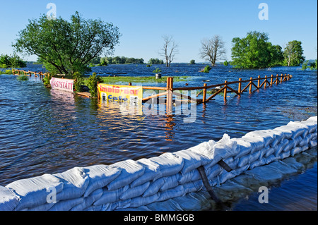 Snack-bar inondées sur l'Oder, fleuve Oder des inondations en 2010, Krajnik Dolny, Woiwodschaft Poméranie occidentale, Pologne, Europe Banque D'Images