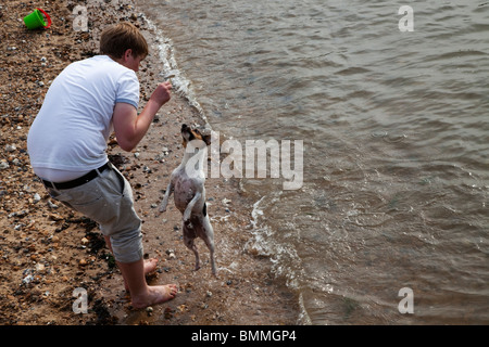 L'homme jouant avec un chien sur la plage de Margate, Kent, UK Banque D'Images