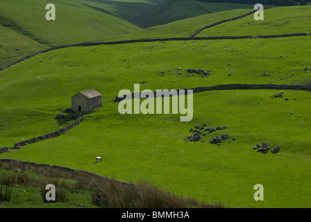 Grange sur le terrain près de la ferme, Malham Moor Darnbrook, Yorkshire Dales National Park, England UK Banque D'Images