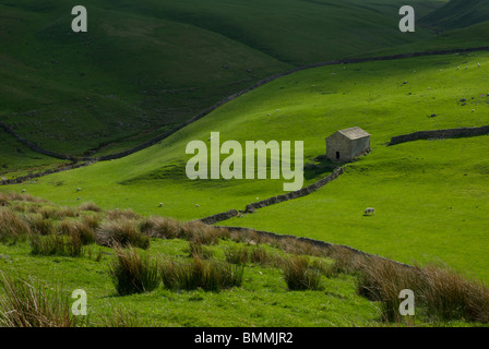 Grange sur le terrain près de la ferme, Malham Moor Darnbrook, Yorkshire Dales National Park, England UK Banque D'Images