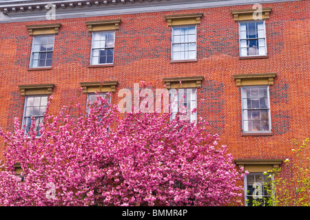 Maison de brique et de printemps fleur le Beacon Hill, Boston, Massachusetts