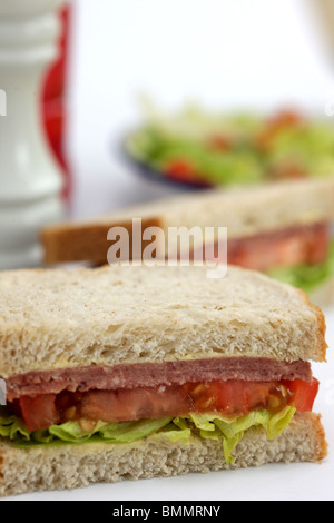 Fresh Tasty le corned-beef sandwich dans le pain brun isolé sur un fond blanc avec aucun peuple et un chemin de détourage Banque D'Images