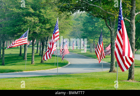 Rue bordée d'arbres avec des drapeaux américains sur les poteaux au Cimetière national du Massachusetts en Bourne, Massachusetts USA Banque D'Images