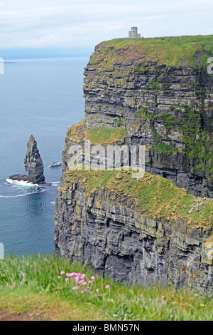 Les falaises de Moher, comté de Clare, Irlande Banque D'Images