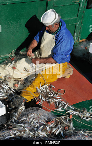 Gallipoli. L'Italie. Bateaux de pêche débarquer leurs prises sur le quai. Banque D'Images