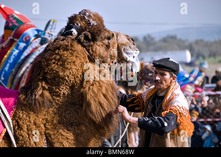 Homme turc avec camel prêts à se battre, Ayvalik, Turquie, Asie Banque D'Images