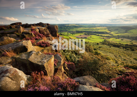 La fin de l'été la lumière sur la bruyère, Curbar Edge dans le Peak District de Derbyshire, Angleterre Banque D'Images