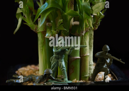 Un trio de petits soldats prennent leurs positions dans une forêt de bambous. Banque D'Images