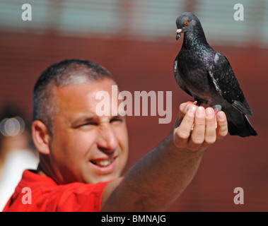 Un homme est titulaire d'un pigeon à la place Saint-Marc, Venise, Italie Banque D'Images