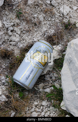 La bière vide peut abandonnés dans Quarry Banque D'Images