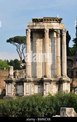 Rome. L'Italie. Le Temple de Vesta dans le Forum Romain. Banque D'Images