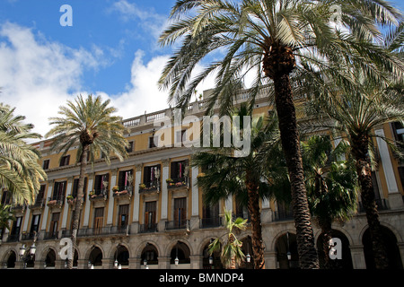 Les palmiers et les bâtiments conçus traditionnellement de Plaça Reial à Barcelone, en Espagne. Banque D'Images